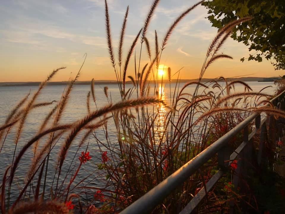 Ferienwohnung Toskana Mit Schwimmbad Und Sauna Bad Bergzabern Zewnętrze zdjęcie